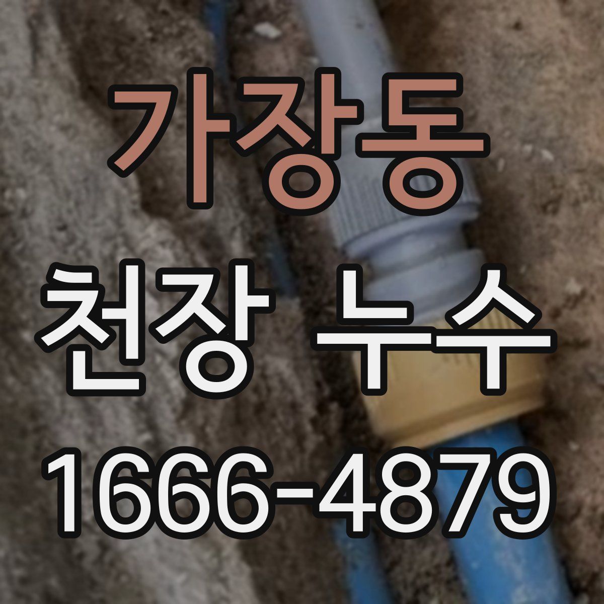 가장동 천장 누수