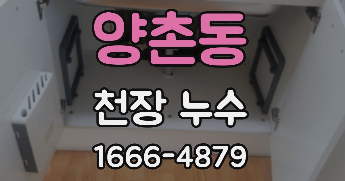 양촌동 천장 누수