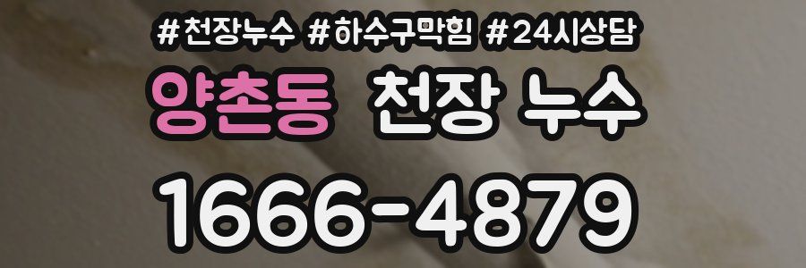 양촌동 천장 누수