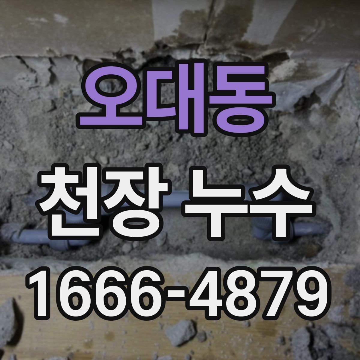 오대동 천장 누수