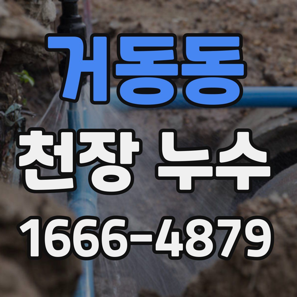 거동동 천장 누수