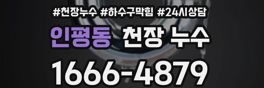 인평동 천장 누수