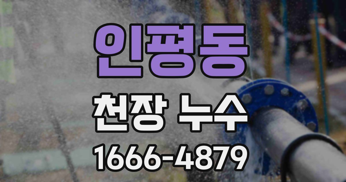 인평동 천장 누수