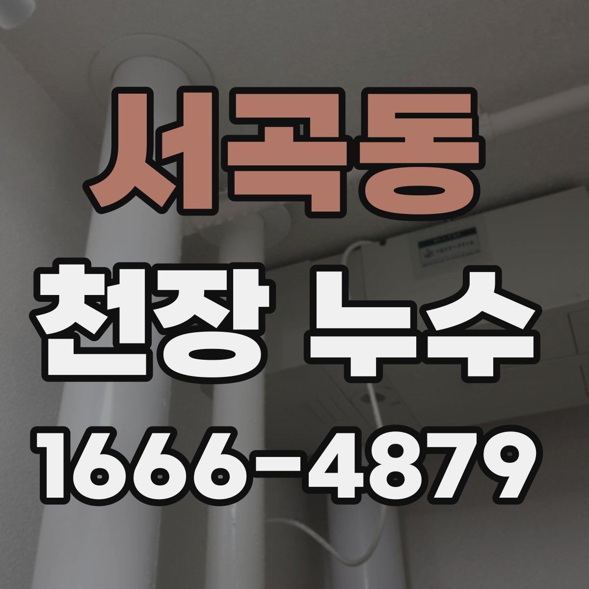 서곡동 천장 누수