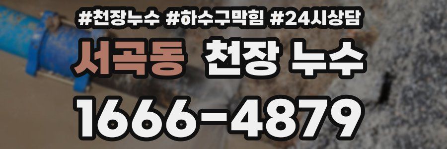 서곡동 천장 누수