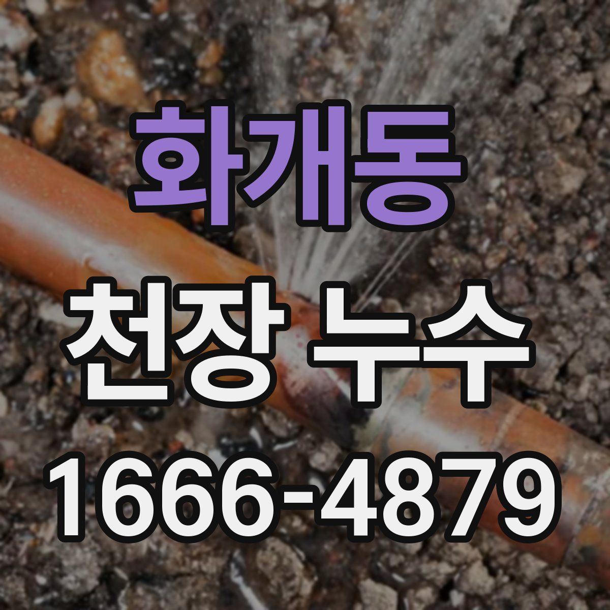 화개동 천장 누수