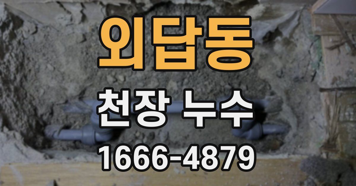 외답동 천장 누수