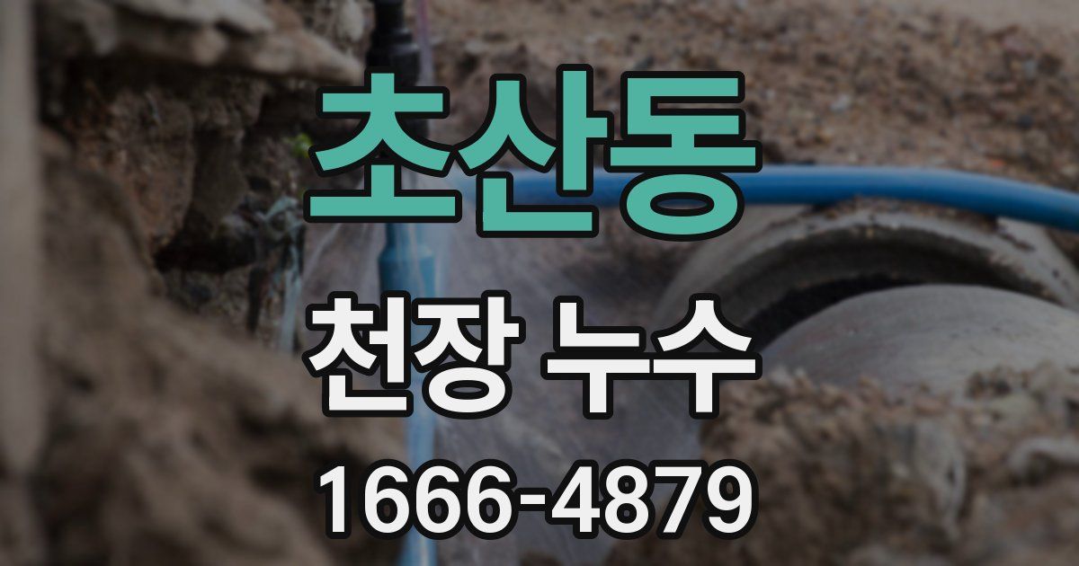 초산동 천장 누수