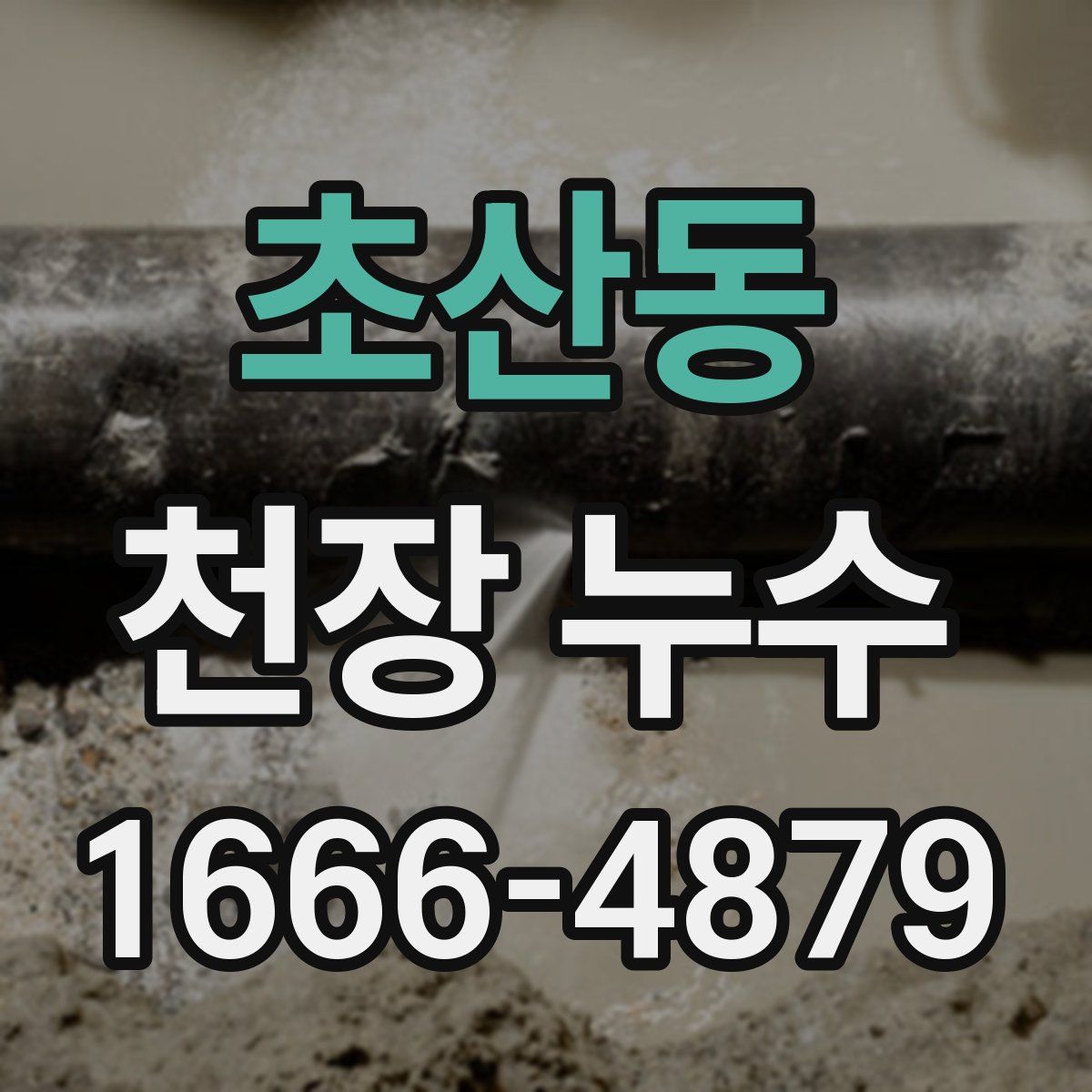 초산동 천장 누수