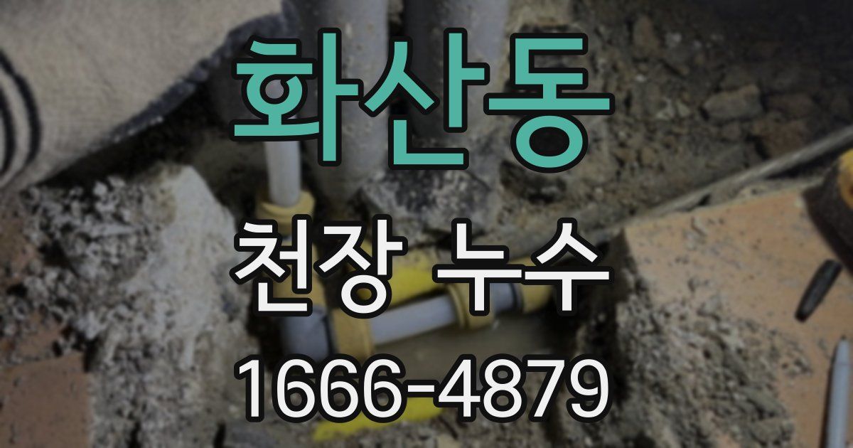 화산동 천장 누수