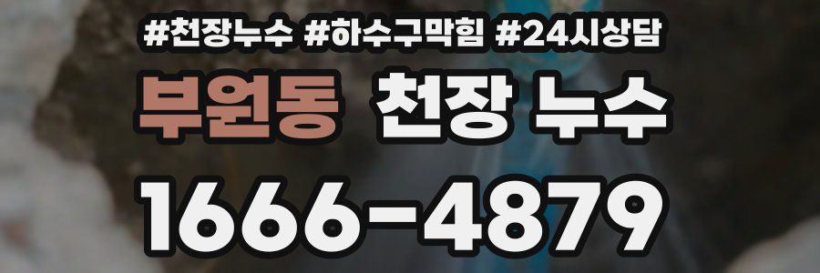 부원동 천장 누수