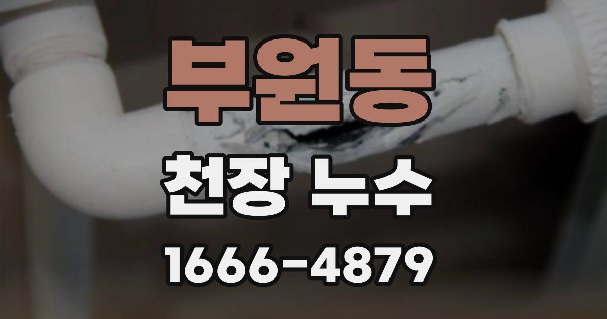 부원동 천장 누수