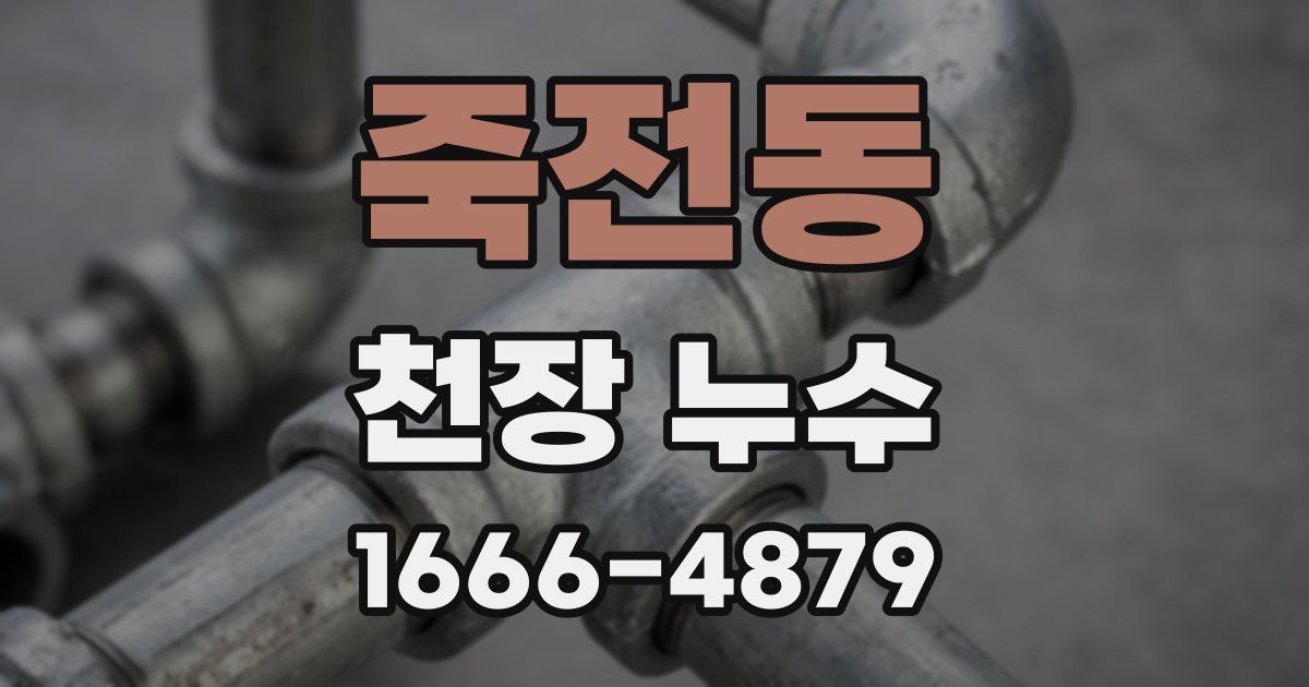 죽전동 천장 누수