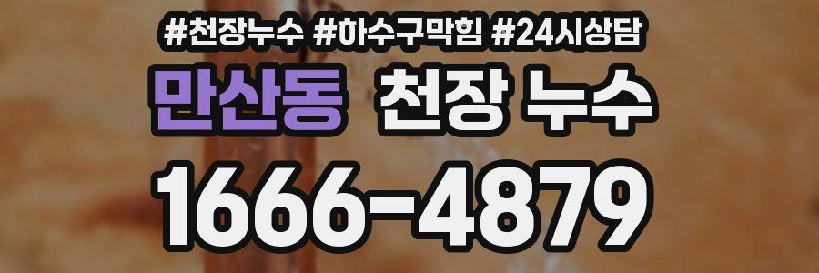 만산동 천장 누수