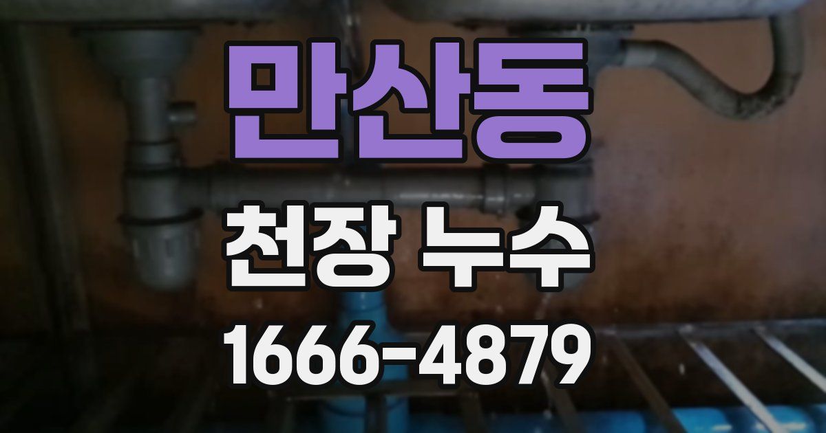 만산동 천장 누수