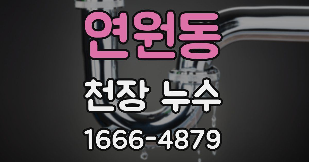 연원동 천장 누수