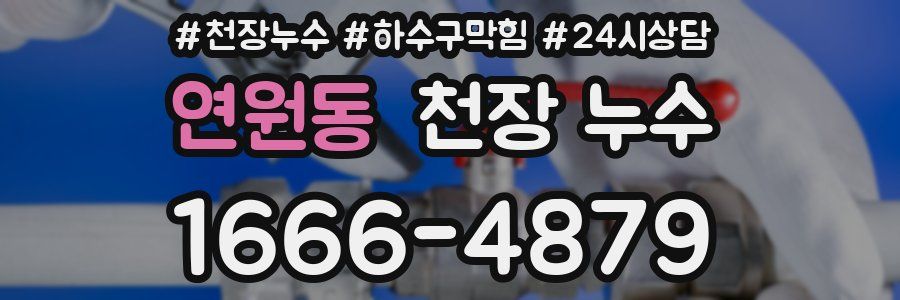 연원동 천장 누수