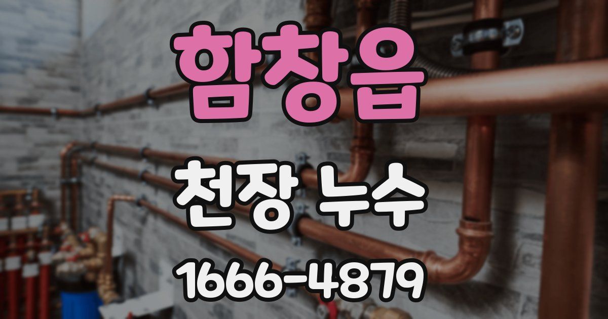 함창읍 천장 누수