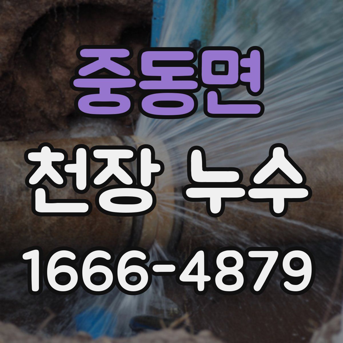 중동면 천장 누수