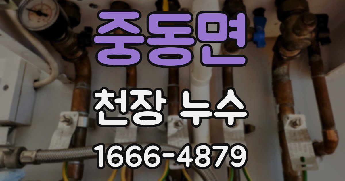 중동면 천장 누수