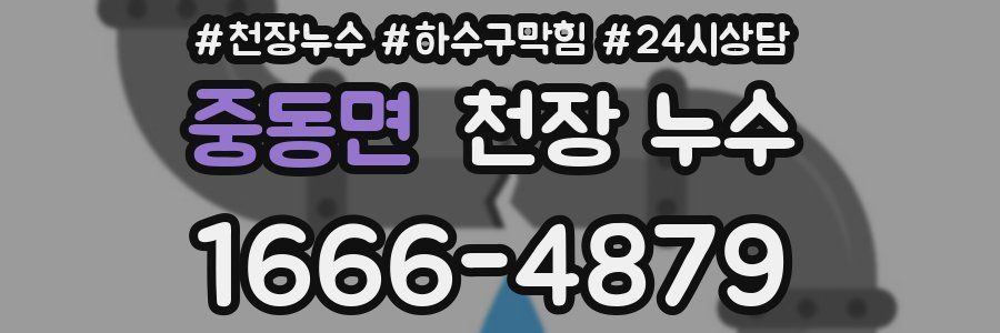 중동면 천장 누수