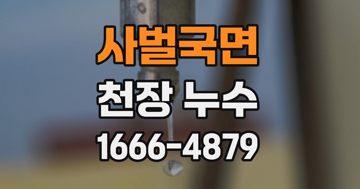 사벌국면 천장 누수