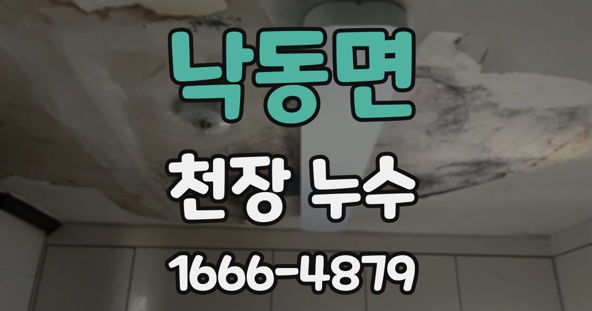 낙동면 천장 누수