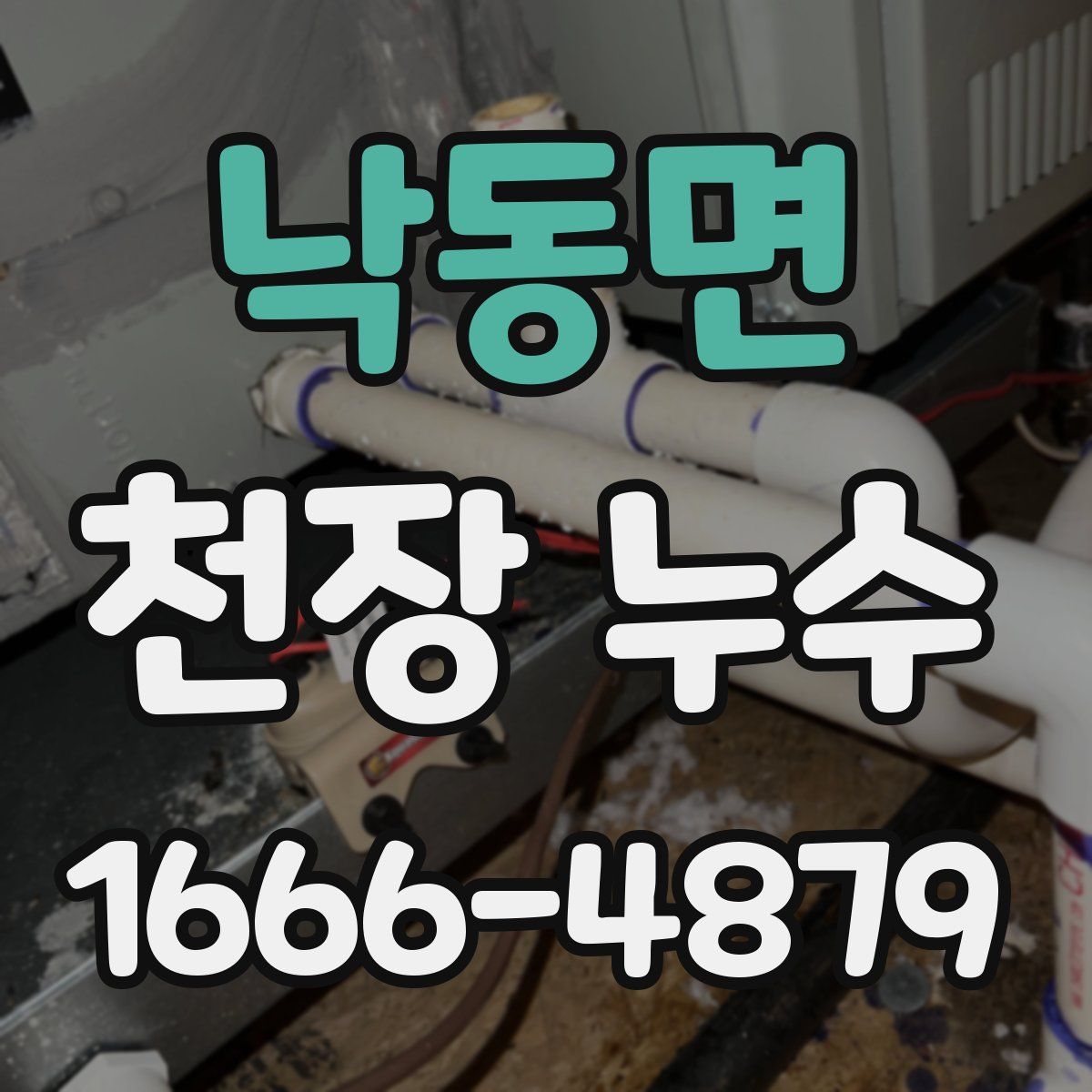 낙동면 천장 누수