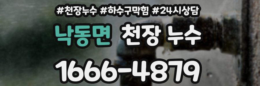 낙동면 천장 누수