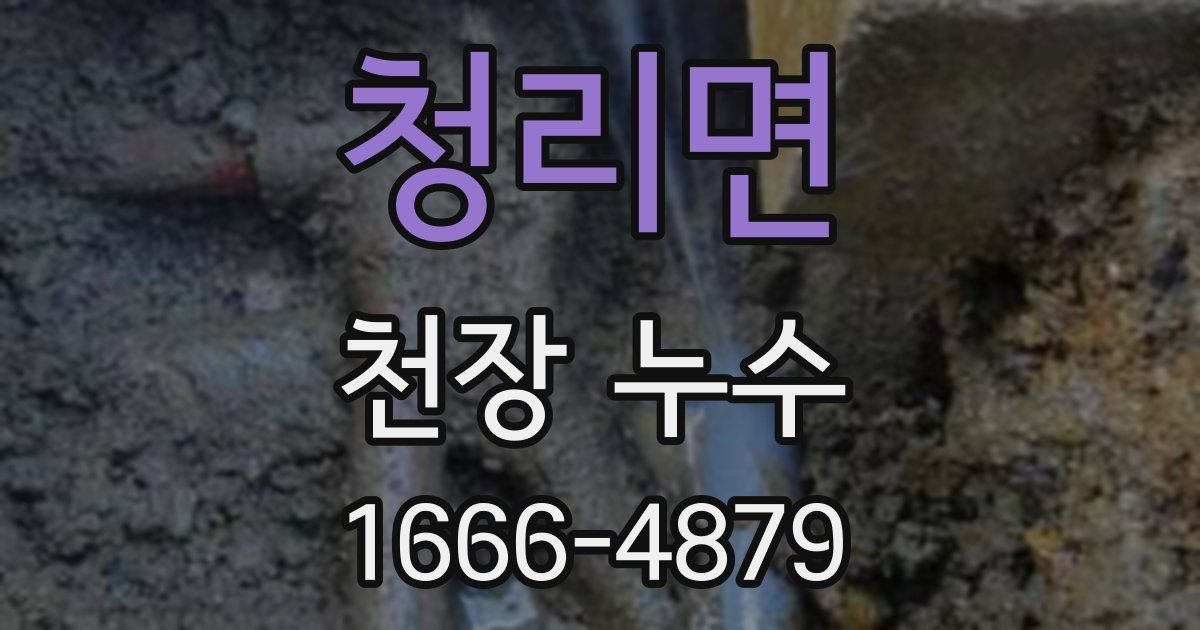 청리면 천장 누수