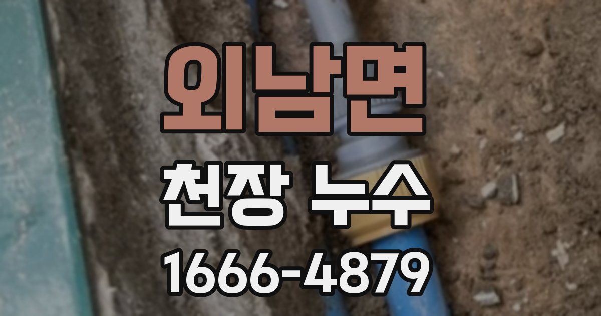 외남면 천장 누수