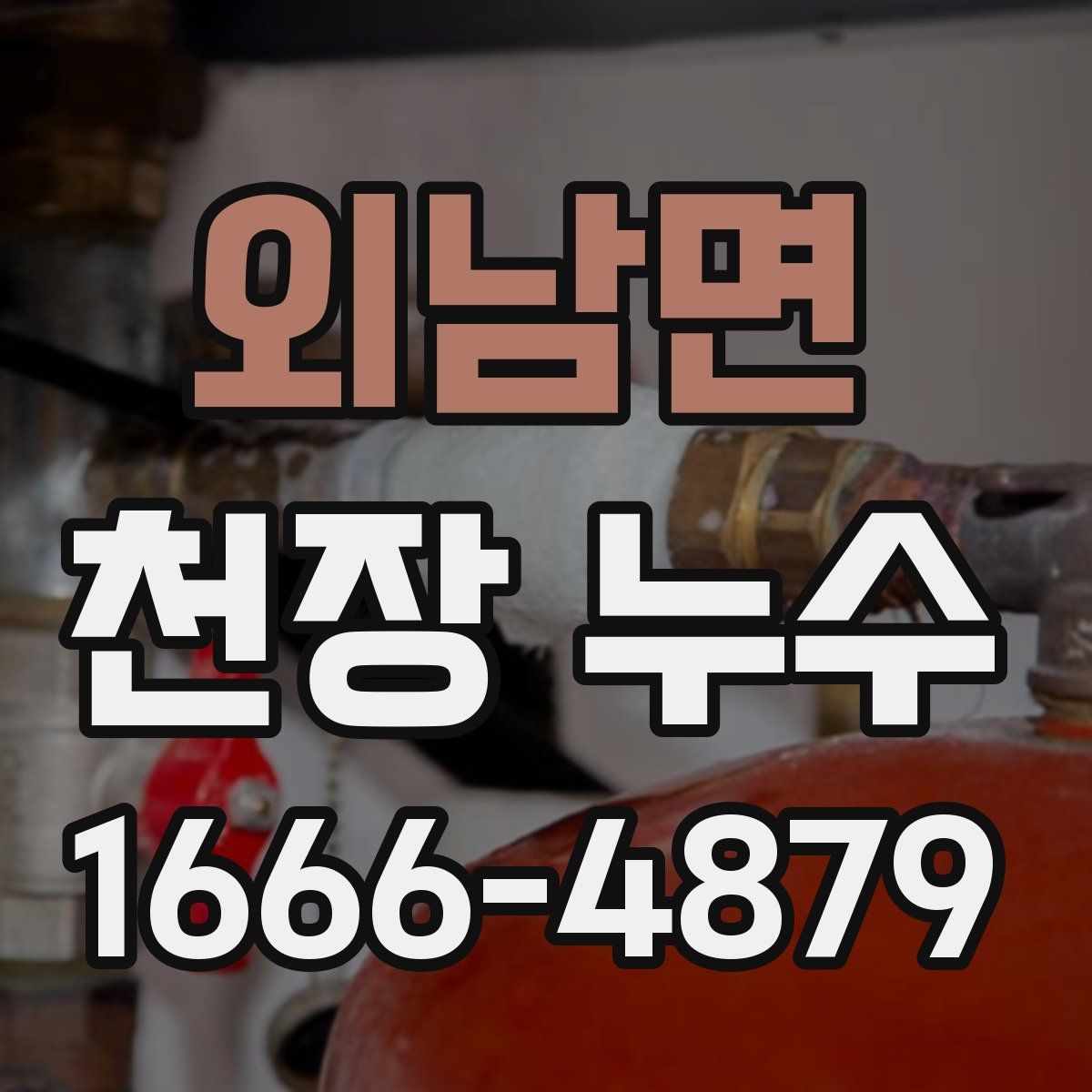 외남면 천장 누수