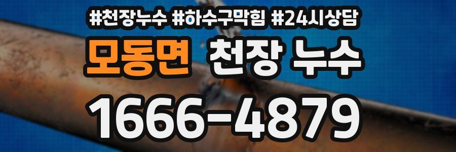 모동면 천장 누수