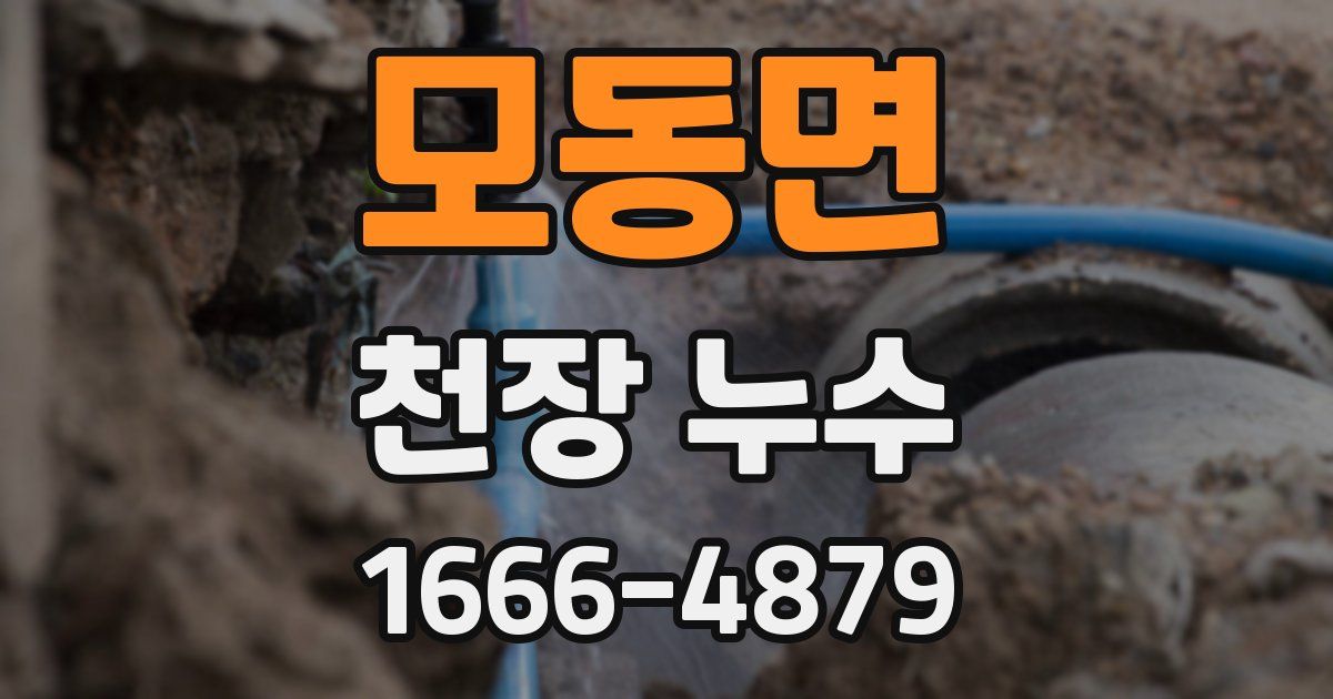 모동면 천장 누수