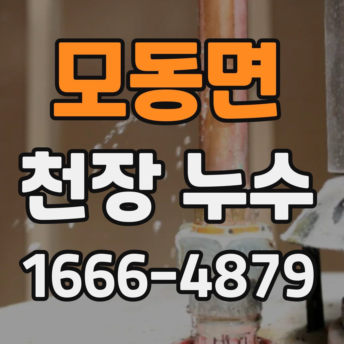 모동면 천장 누수