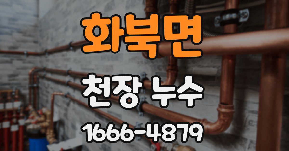 화북면 천장 누수