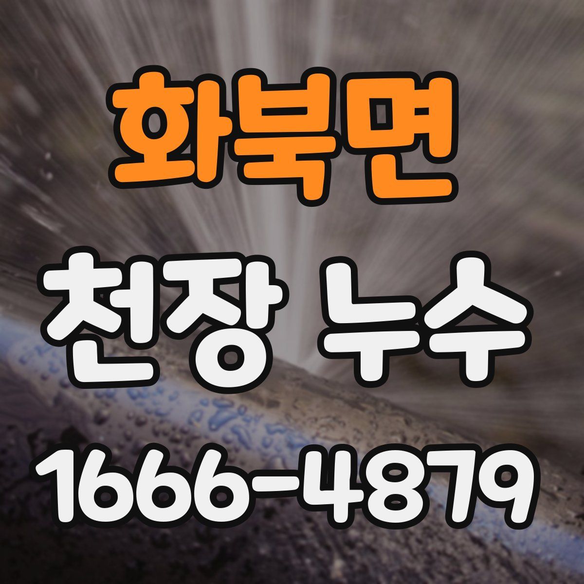 화북면 천장 누수