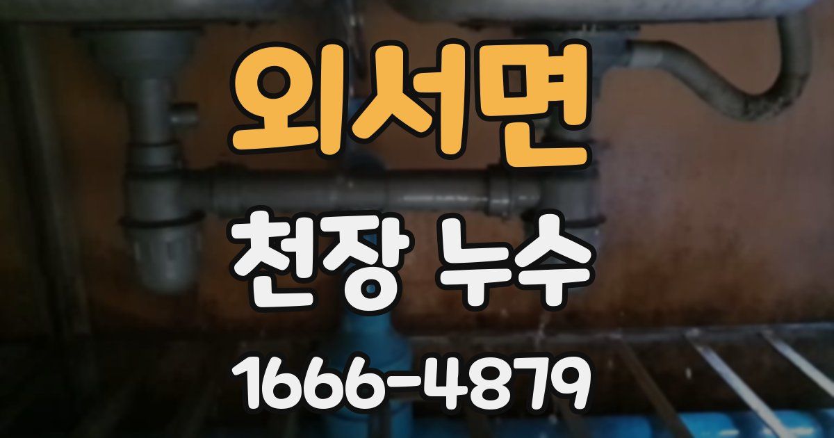 외서면 천장 누수