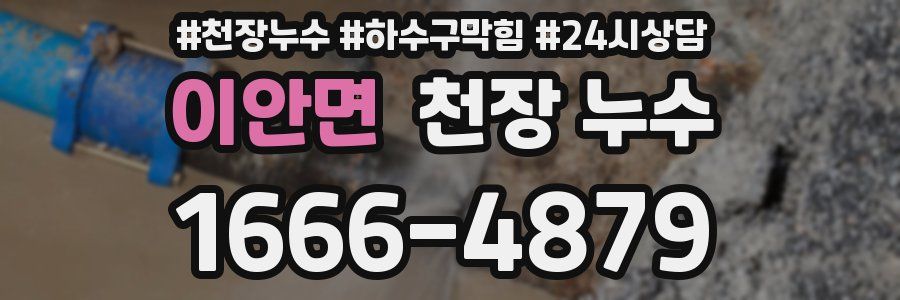 이안면 천장 누수