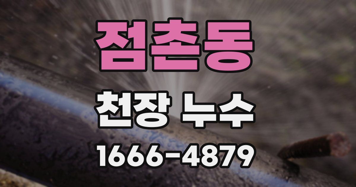 점촌동 천장 누수