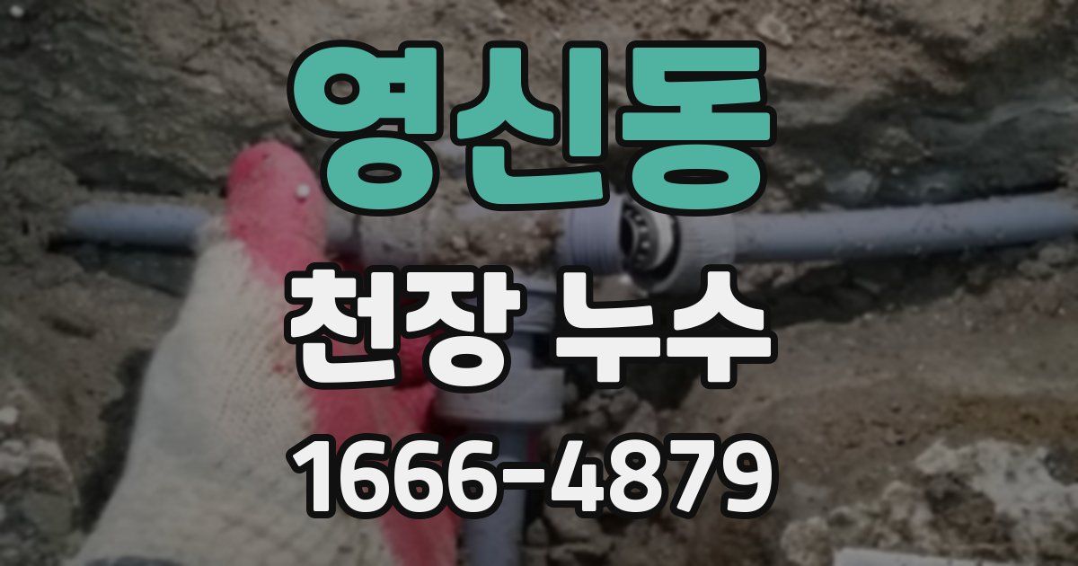 영신동 천장 누수