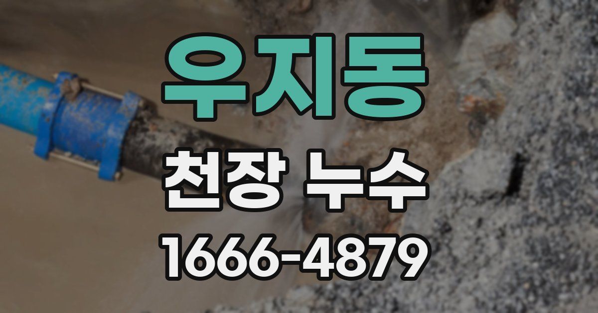 우지동 천장 누수