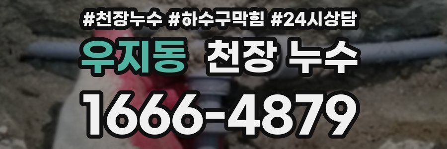 우지동 천장 누수