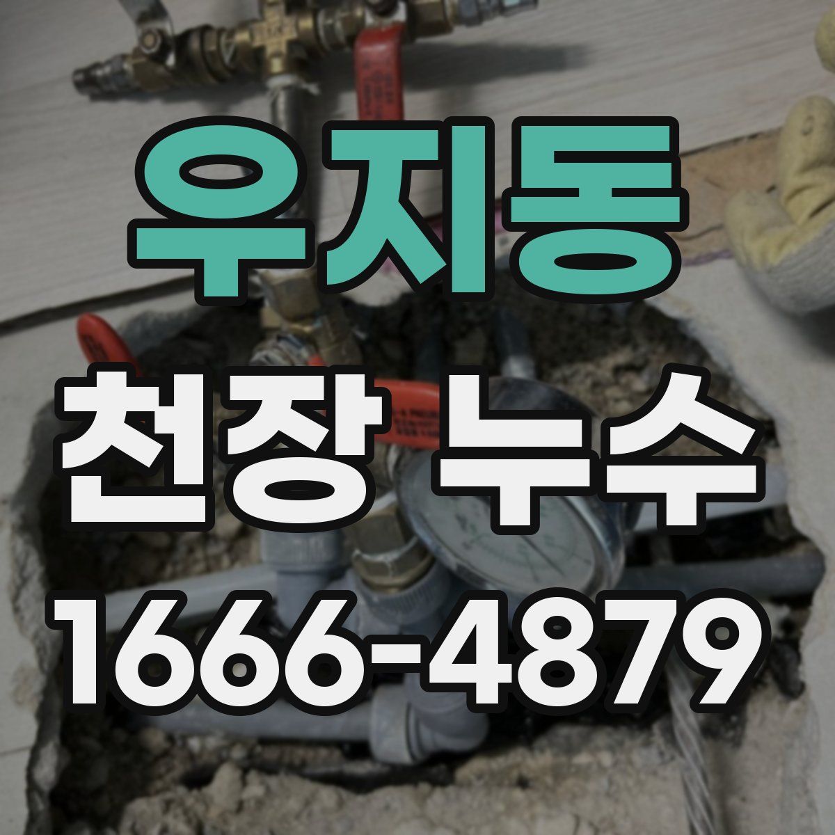 우지동 천장 누수