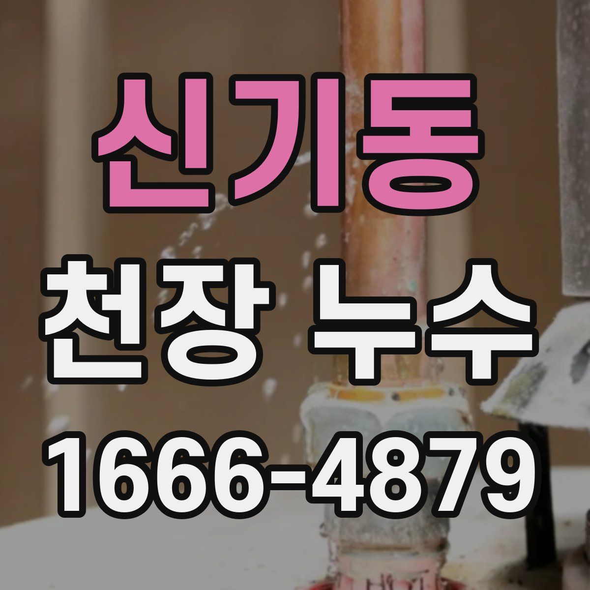 신기동 천장 누수