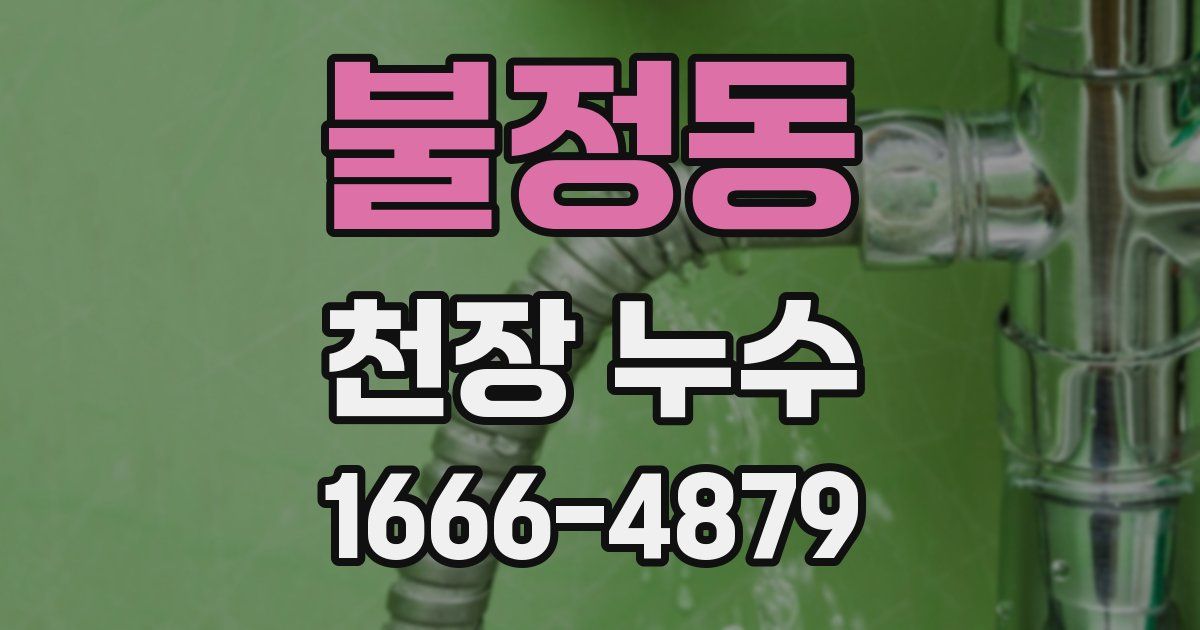 불정동 천장 누수