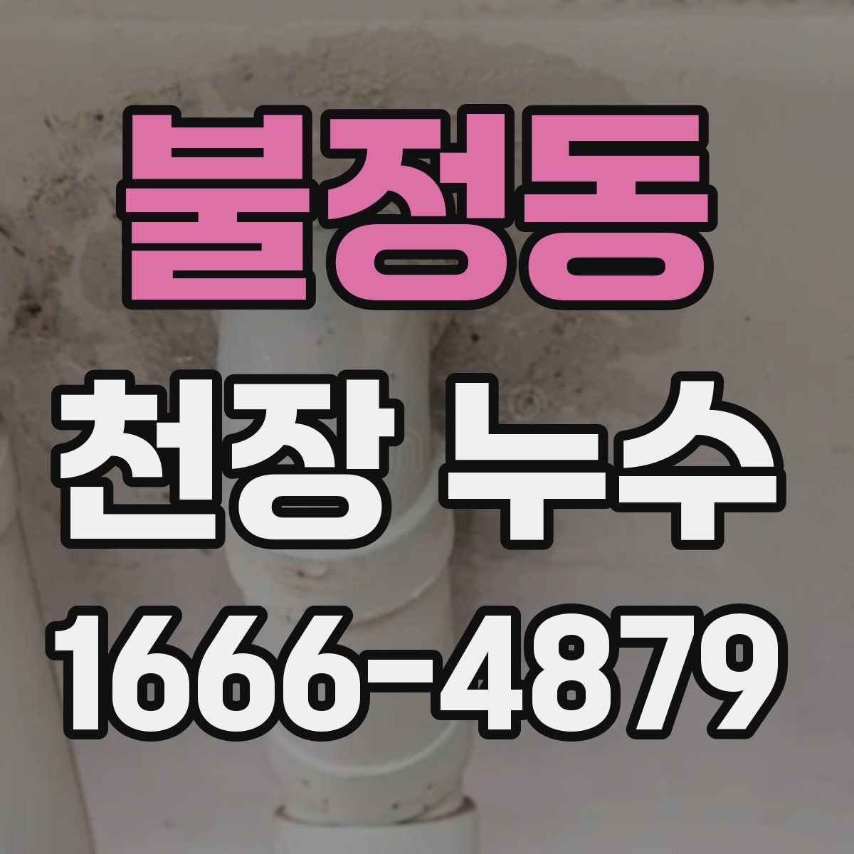 불정동 천장 누수