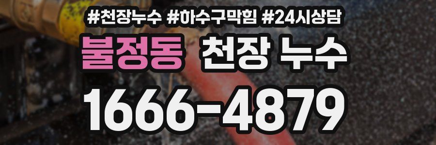 불정동 천장 누수