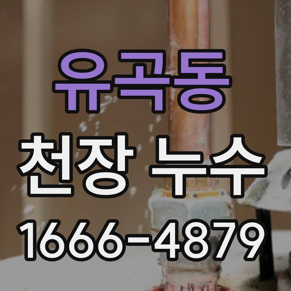 유곡동 천장 누수