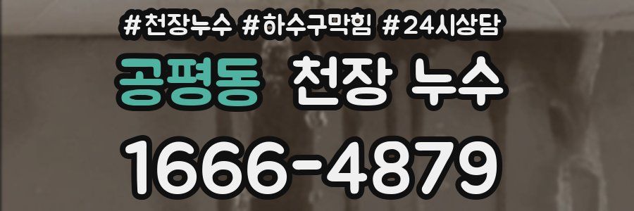 공평동 천장 누수